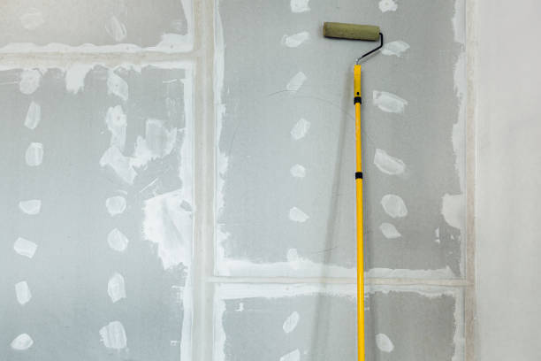Best Asbestos and Lead Testing During Mold Inspection  in Bull Shoals, AR