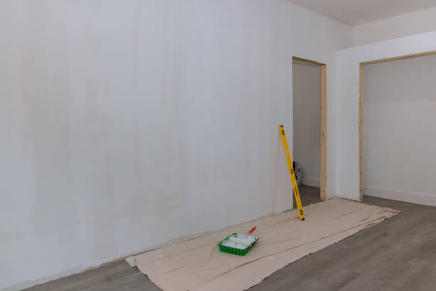 Best Mold Odor Removal Services  in Bull Shoals, AR