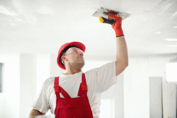 Best Mold Documentation for Insurance Claims  in Bull Shoals, AR