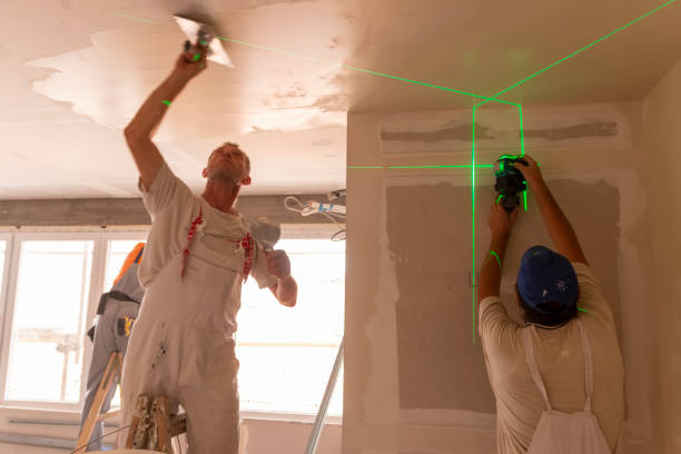 Best Mold Prevention Services  in Bull Shoals, AR